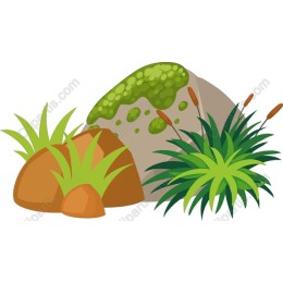 Lush Greenery and Rocks