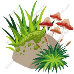 Enchanting Mushroom and Greenery