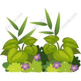Vibrant Green Plants and Flowers