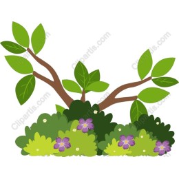 Lush Greenery and Flowers