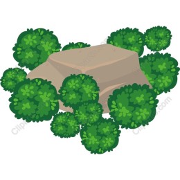 Lush Green Bushes and Rock