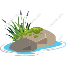 Serene Rocks and Greenery