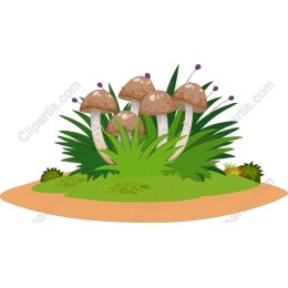 Whimsical Mushroom Garden