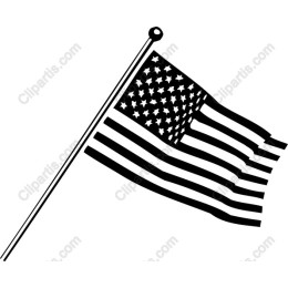 Black and White American Flag