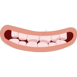Vibrant Smiling Mouth