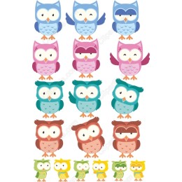 Cute Owl Bundle