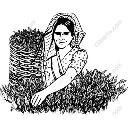 Elegant Woman Harvesting