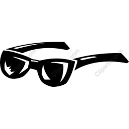 Stylish Black Sunglasses