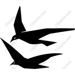 Elegant Bird Flight
