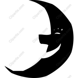 Moonlit Companion