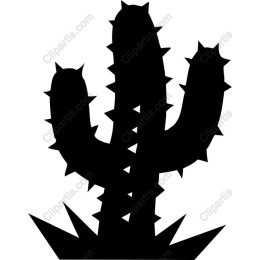 Spiky Cactus