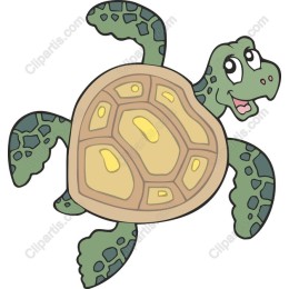 Cheerful Cartoon Turtle