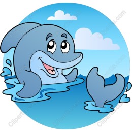 Adorable Dolphin