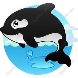 Playful Orca