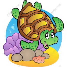Playful Turtle