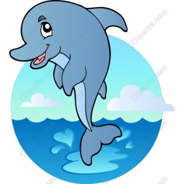 Playful Dolphin