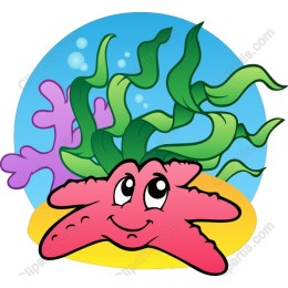 Cheerful Starfish