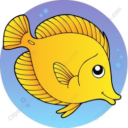 Playful Yellow Fish
