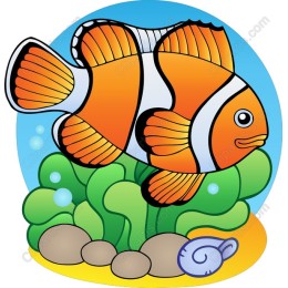 Clownfish Underwater