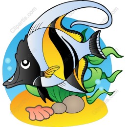 Vibrant Underwater Fish