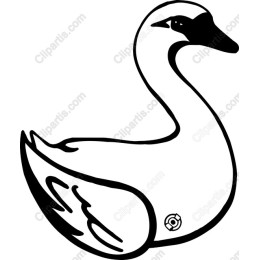 Elegant Swan