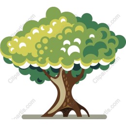 Vibrant Tree