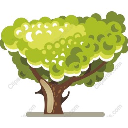 Lush Green Tree