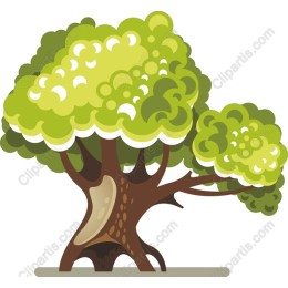 Lush Green Tree