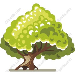 Vibrant Green Tree