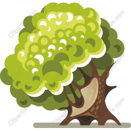 Lush Green Tree