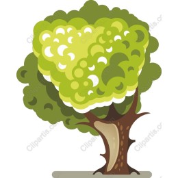 Lush Green Tree