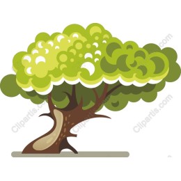 Lush Green Tree