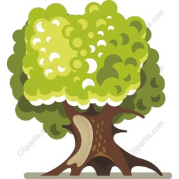 Lush Green Tree