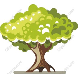 Lush Green Tree
