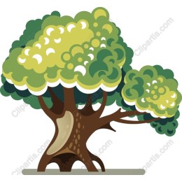 Lush Green Tree