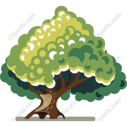 Vibrant Tree