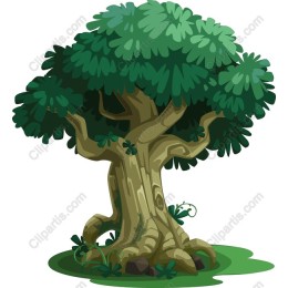 Lush Green Tree