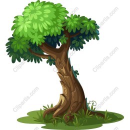 Lush Green Tree