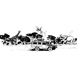 African Safari Wildlife