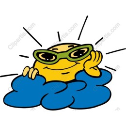 Sunny Sunglasses Character