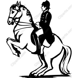 Equestrian Elegance: Horse and Rider