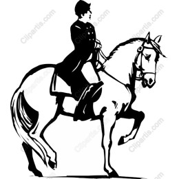 Elegant Equestrian Horse and Rider