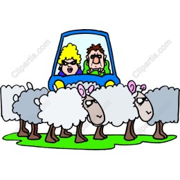 Whimsical Car and Sheep
