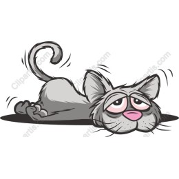 Lazy Cat