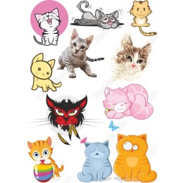 Cat Bundle - Feline Fun
