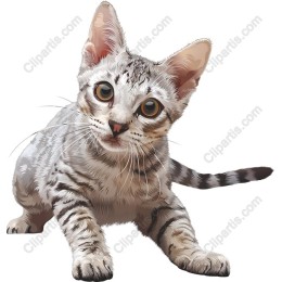Charming Striped Cat