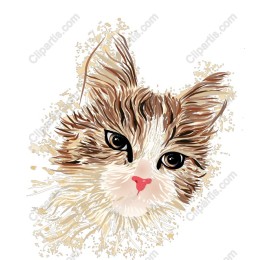 Adorable Cat Face