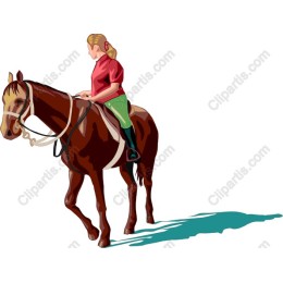 Equestrian Rider on Horse