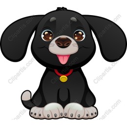 Cute Black Puppy