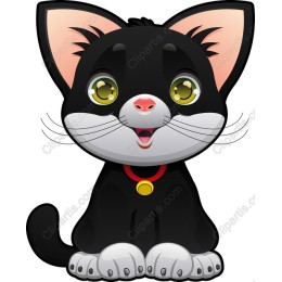 Charming Black Cat